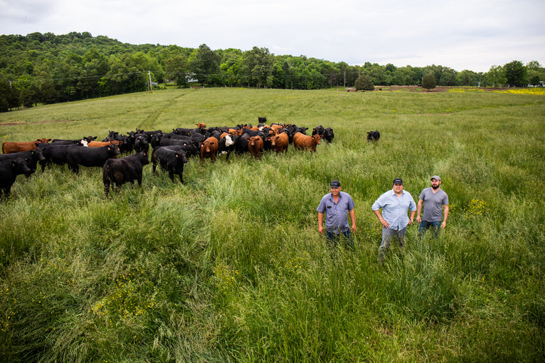 Sustaining the Farms That Sustain Us