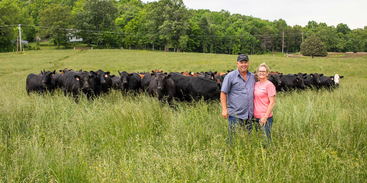 Farmer couple standing in green pasture with their herd of beef cattle, wearing a Porter Road cap